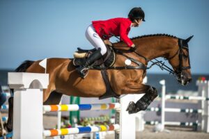 indispensables dans la tenue de cheval 