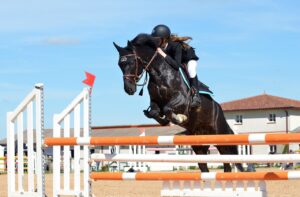 progresser en équitation