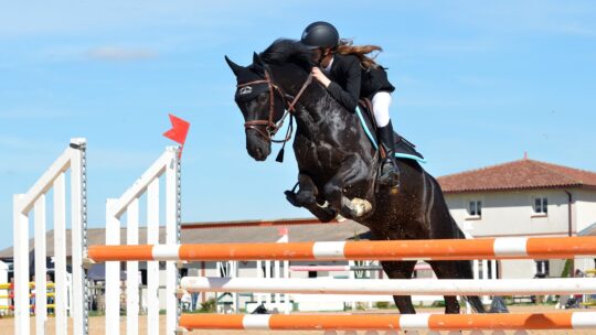 Equitation : les erreurs à éviter pour bien progresser