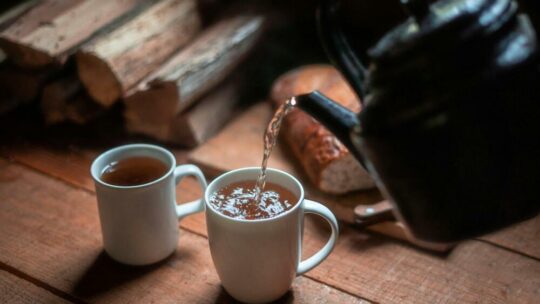 Mugs pour amateurs de thé : Quels mugs privilégier pour une dégustation parfaite ?